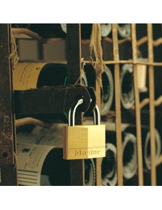 ▷ CANDADO 40 MM MASTER LOCK | Soul Natura - Imagen 2