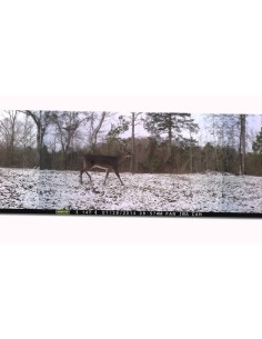 ▷ MOULTRIE PANORAMIC 150I CÁMARA TRAMPA | Soul Natura - Imagen 2