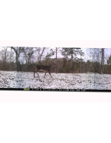 ▷ MOULTRIE PANORAMIC 150I CÁMARA TRAMPA | Soul Natura - Imagen 1