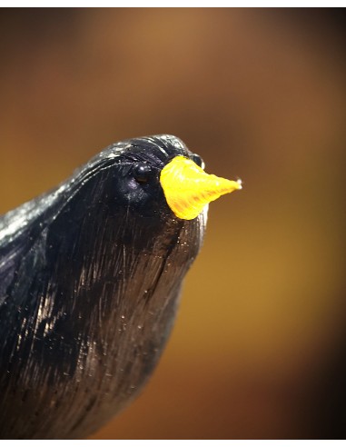▷ ESTORNINO NEGRO (Sturnus unicolor) Pájaro de PITA | Soul Natura - Imagen 2