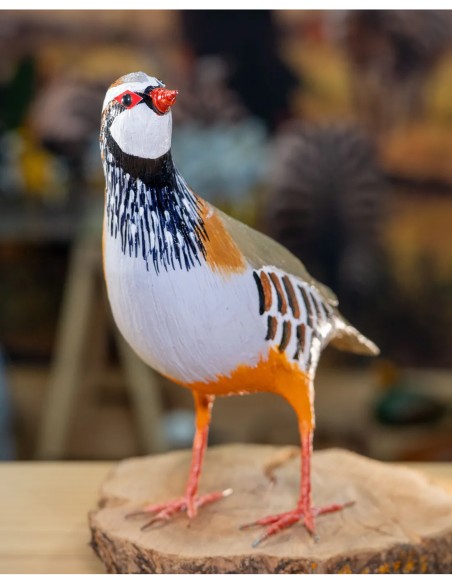 ▷ PERDIZ ROJA (PÁJARO DE PITA) | Soul Natura - Imagen 3