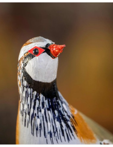 ▷ PERDIZ ROJA (PÁJARO DE PITA) | Soul Natura - Imagen 5