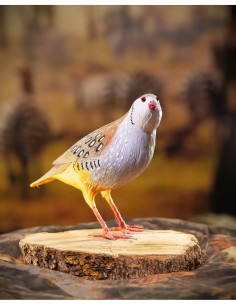 ▷ Perdiz roja (PÁJARO DE PITA) | Soul Natura - Imagen 2