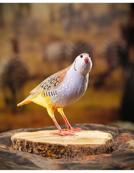 ▷ Perdiz roja (PÁJARO DE PITA) | Soul Natura - Imagen 1