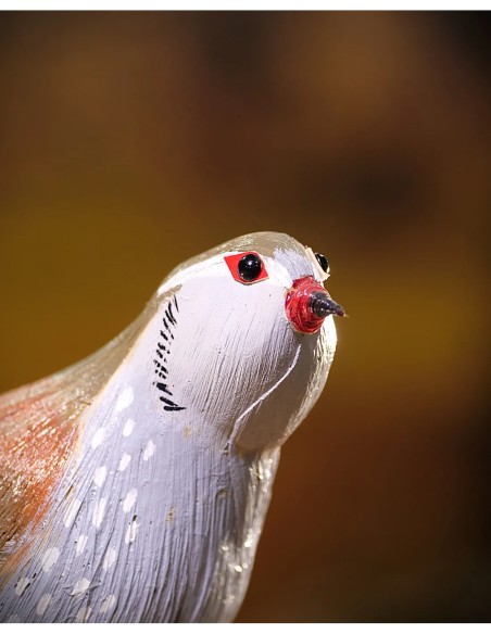 ▷ Perdiz roja (PÁJARO DE PITA) | Soul Natura - Imagen 3