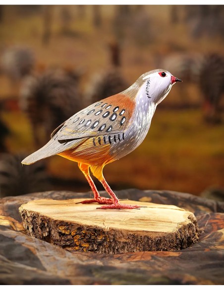 ▷ Perdiz roja (PÁJARO DE PITA) | Soul Natura - Imagen 4