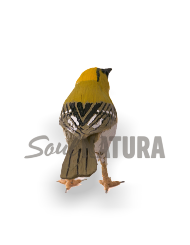 ▷ REYEZUELO SENCILLO (Regulus regulus) Pájaro de PITA | Soul Natura - Imagen 3