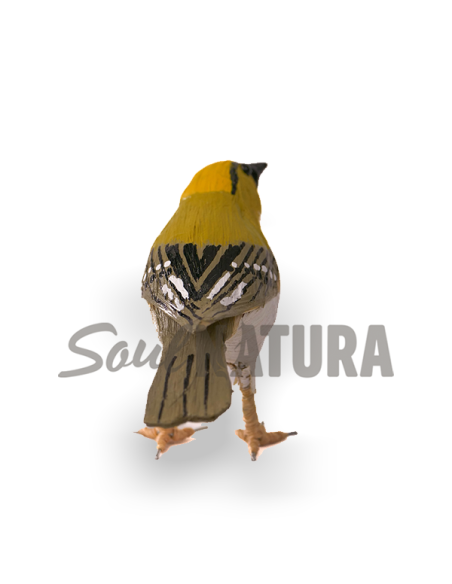 ▷ REYEZUELO SENCILLO (Regulus regulus) Pájaro de PITA | Soul Natura - Imagen 3