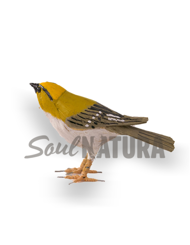 ▷ REYEZUELO SENCILLO (Regulus regulus) Pájaro de PITA | Soul Natura - Imagen 4