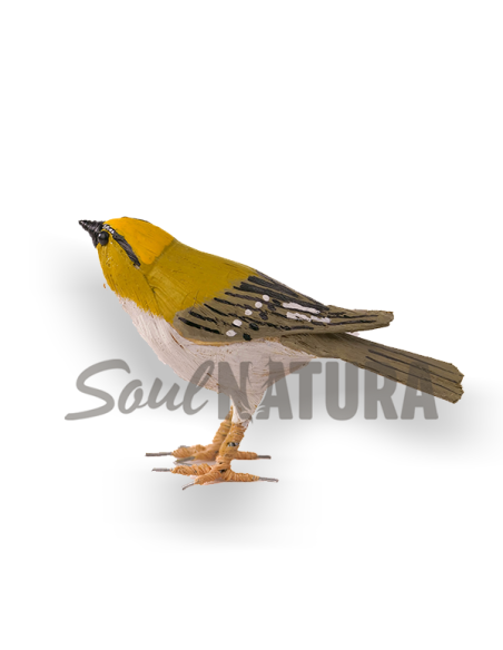 ▷ REYEZUELO SENCILLO (Regulus regulus) Pájaro de PITA | Soul Natura - Imagen 4